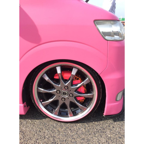 AlloyGator PINK disku malu aizsardzība