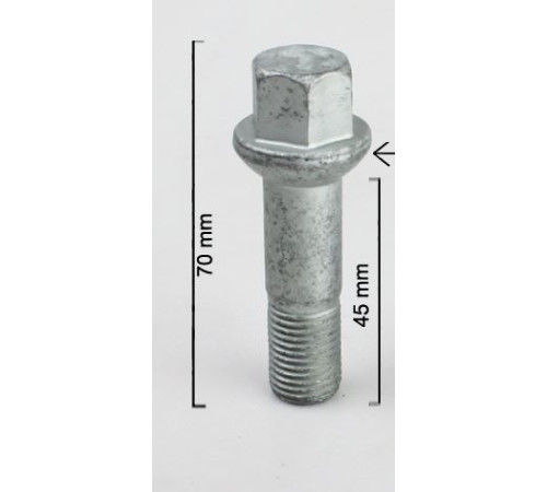M14x1.5x45 HEX 17 mm Sfēra Diska skrūve