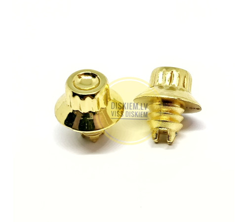 Dekoratīvas skrūves (kniedes) diskiem 010 GOLD