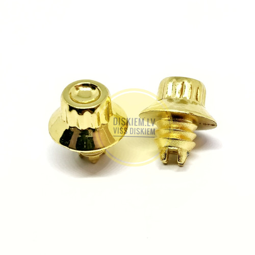 Dekoratīvas skrūves (kniedes) diskiem 010 GOLD