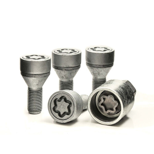 M12 x 1.25 x 22 mm HEX19 Cone Wheel locking bolts EVO5