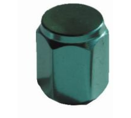 Ventīļmicīte metāla (zaļa)