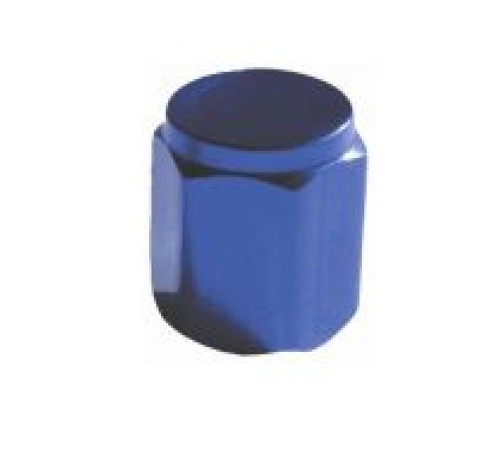 Ventīļmicīte metāla (zila)