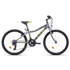 Divritenis CTM 24", Berry 1.0