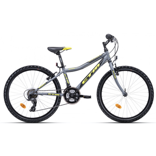 Divritenis CTM 24", Berry 1.0