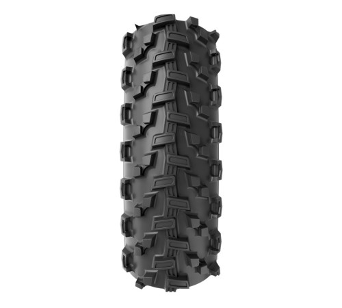 Riepa 29" Vittoria Saguaro TLR Fold 29x2.25 / 55-622 black