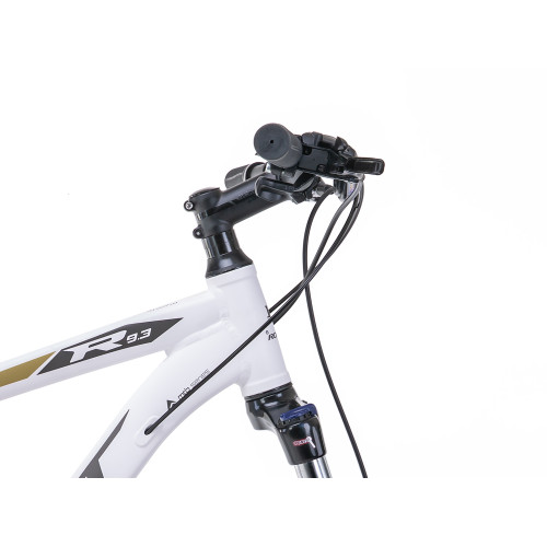 Velosipēds Romet Rambler R9.3 29" 2023 white-gold-20" / L