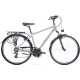 Bicycle Romet Wagant 28" 2023 silver-gold-21" / L
