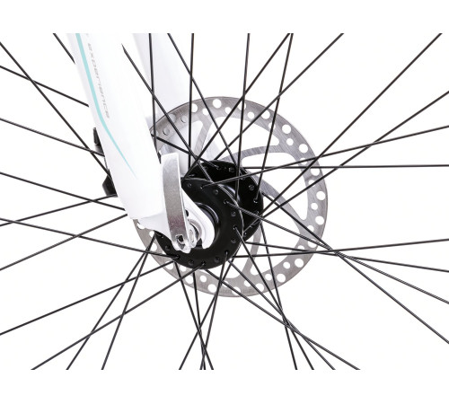 Velosipēds Romet Jolene 6.2 2025 black-green-violet-17" / M