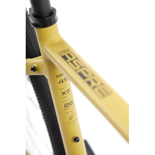 Bicycle Romet Aspre 2 2025 dark yellow-black-48 cm / S