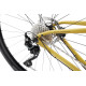 Bicycle Romet Aspre 2 2025 dark yellow-black-54 cm / L