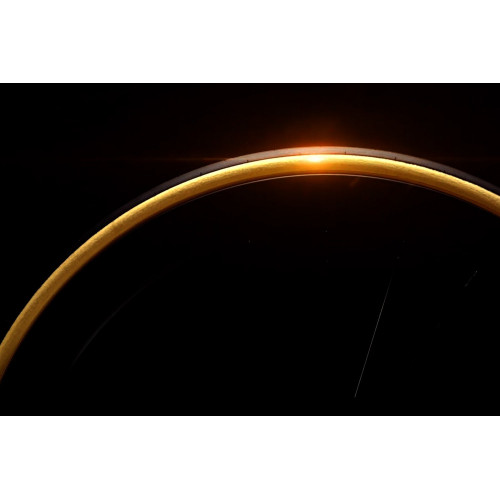 Riepas 28" Vittoria Corsa PRO TLR Double Pack 700x28c / 28-622 GOLD Limited edition