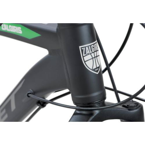 Bicycle Romet ŽALGIRIS R6 black-green-20" / XL