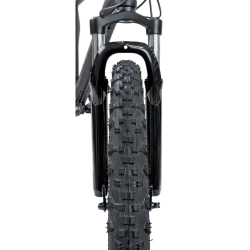 Bicycle Romet ŽALGIRIS R6 black-green-20" / XL