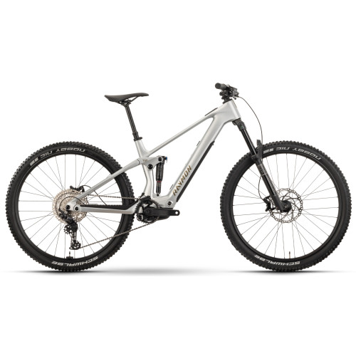 E-bike Raymon Airok 29" 2025 silver stealth-taupe-L