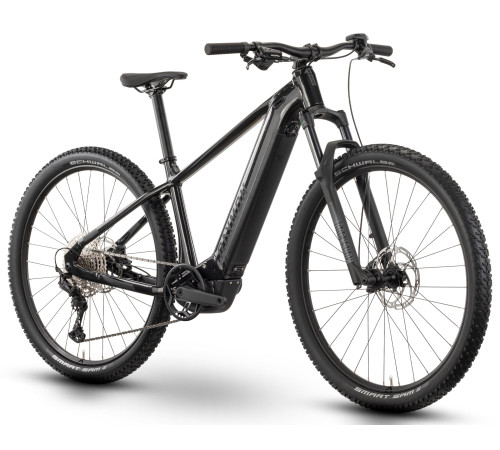 E-bike Raymon Hardray Ultra 800 29" 2025 mica-black-chrome-L