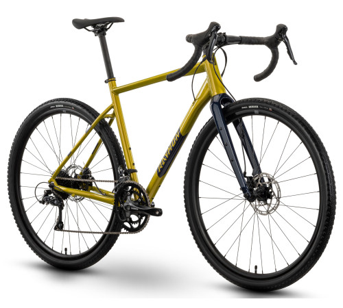 Bicycle Raymon Territ 2025 mustard-steelblue-S