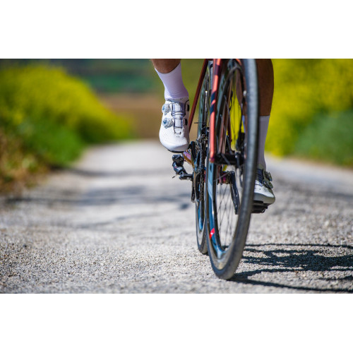 Cycling shoes Northwave Extreme Pro 3 Road white-black-43½