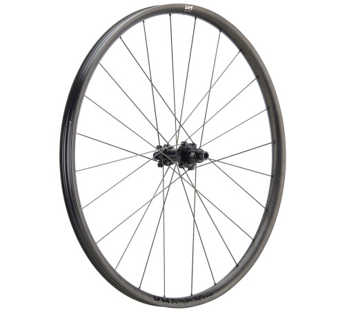 Rear wheel NEWMEN Phase Carbon 30 light VONOA 29" 24H CS SP 6-bolt 12x148 XD