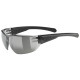 Brilles Uvex equate black matt / smoke