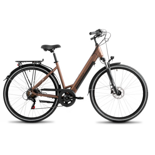 Elektriskais velosipēds ProEco Wave AN 1.0 R 504Wh brown-black-17" / M