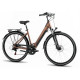 Elektriskais velosipēds ProEco Wave AN 1.0 R 504Wh brown-black-19" / L