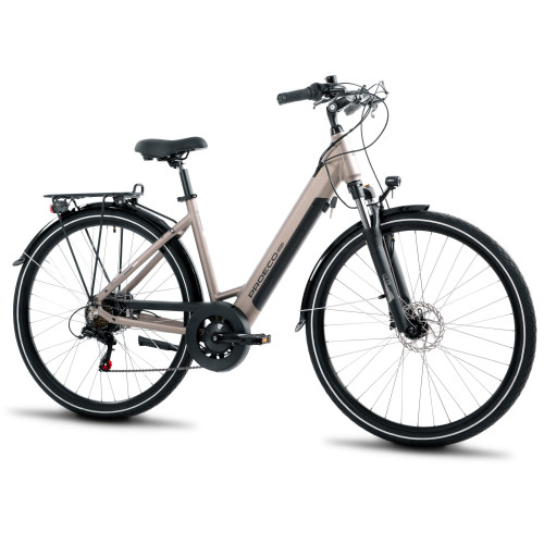 Elektriskais velosipēds ProEco Wave AN 1.0 R 504Wh champagne-black-19" / L