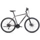 Bicycle Unibike Flash GTS 2025 graphite-23"