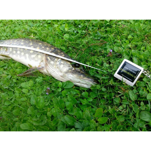 60-80 cm mērlineāls piekariņš